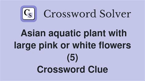 asian water plant crossword clue|Asian aquatic flower .